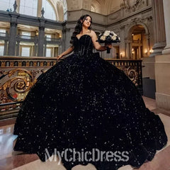 Black Sweet 15 Dress Sparkly Plus Size Quinceanera Dress Sequined