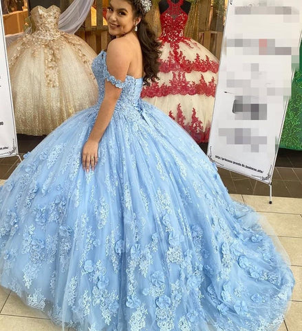 Ball Gown Light Blue Quinceanera Dresses 3D Flowers Lace Sweet 16 Dres ...